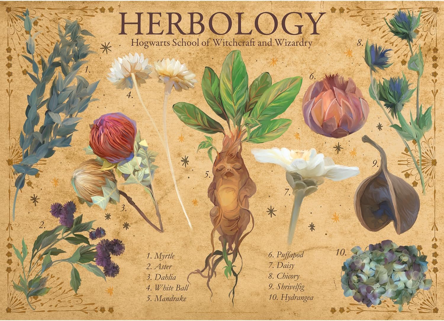AQUARIUS Harry Potter - Puzzle Herbology (1000 pièces
