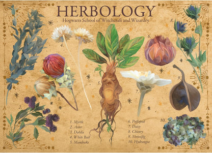 AQUARIUS Harry Potter - Puzzle Herbology (1000 pièces