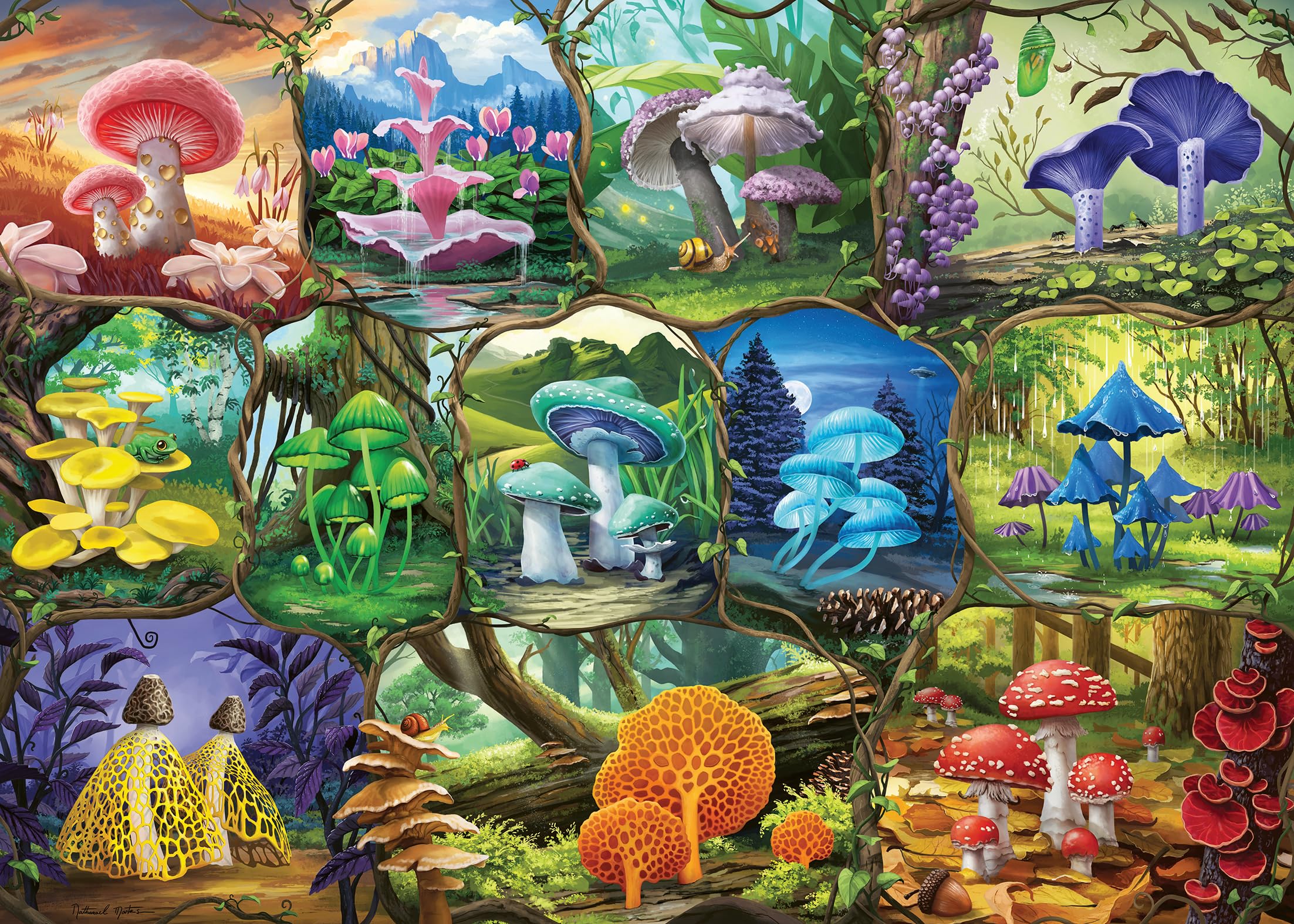 Ravensburger Puzzle 2D 1000 elementów: Piekne grzyby, Nowy Design