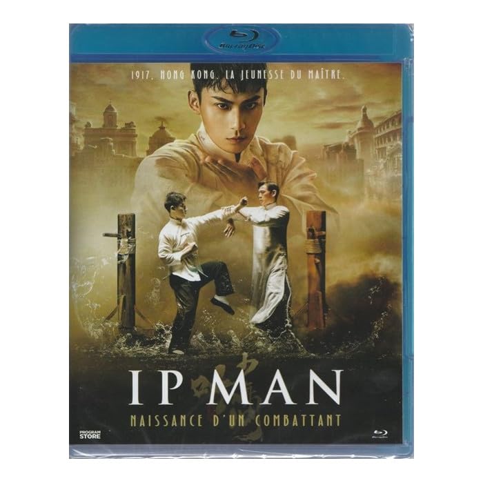 Ip man : naissance d'un combattant