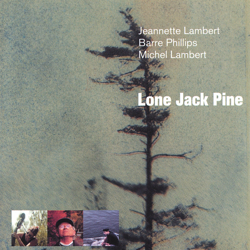 Jeannette Lambert - Lone Jack Pine