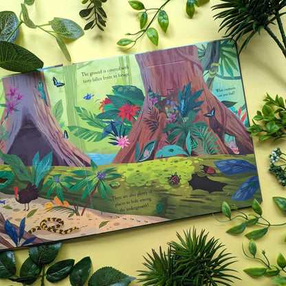 Let'S Explore the Rainforest