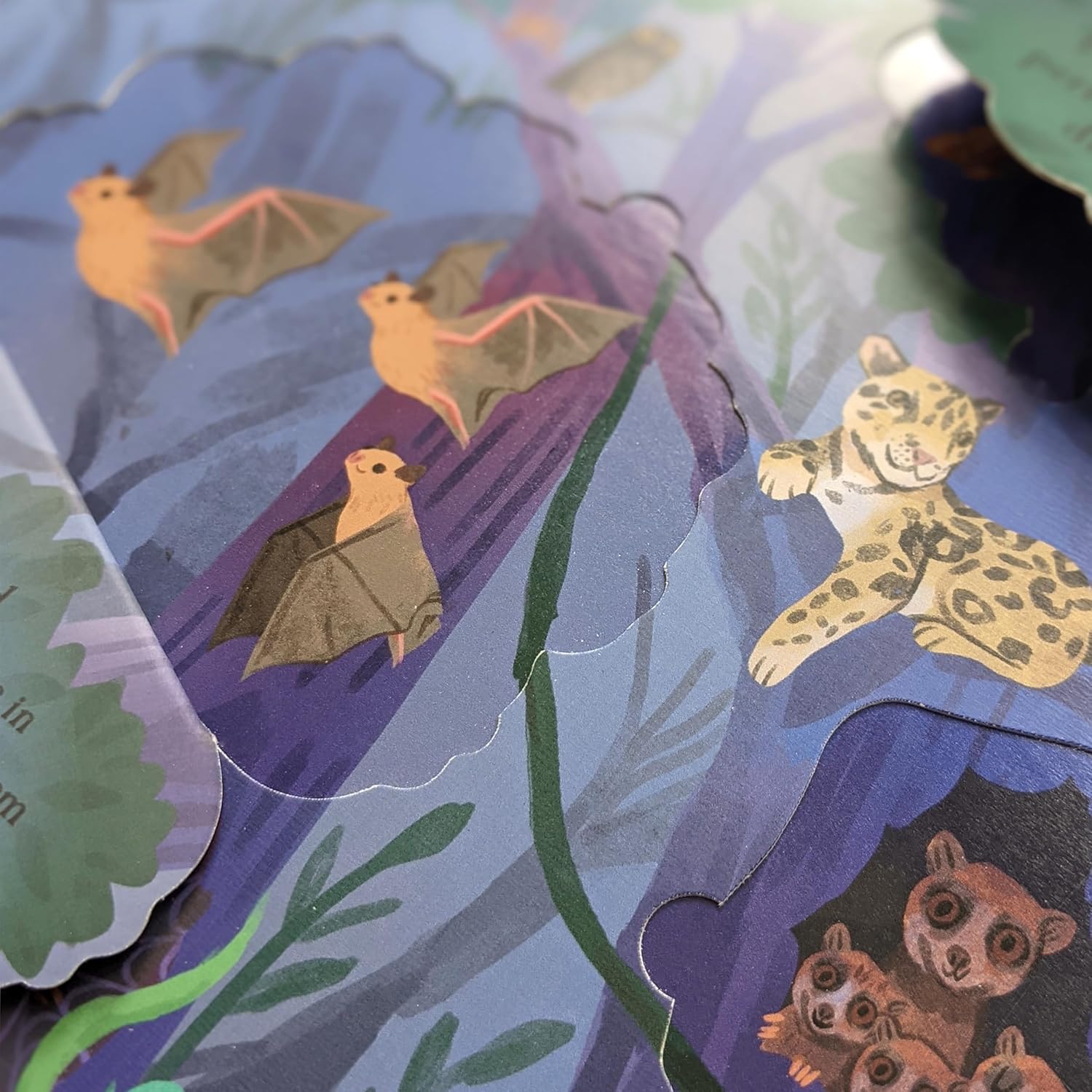 Let'S Explore the Rainforest