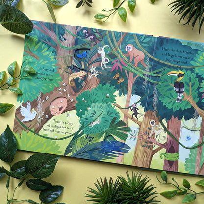 Let'S Explore the Rainforest