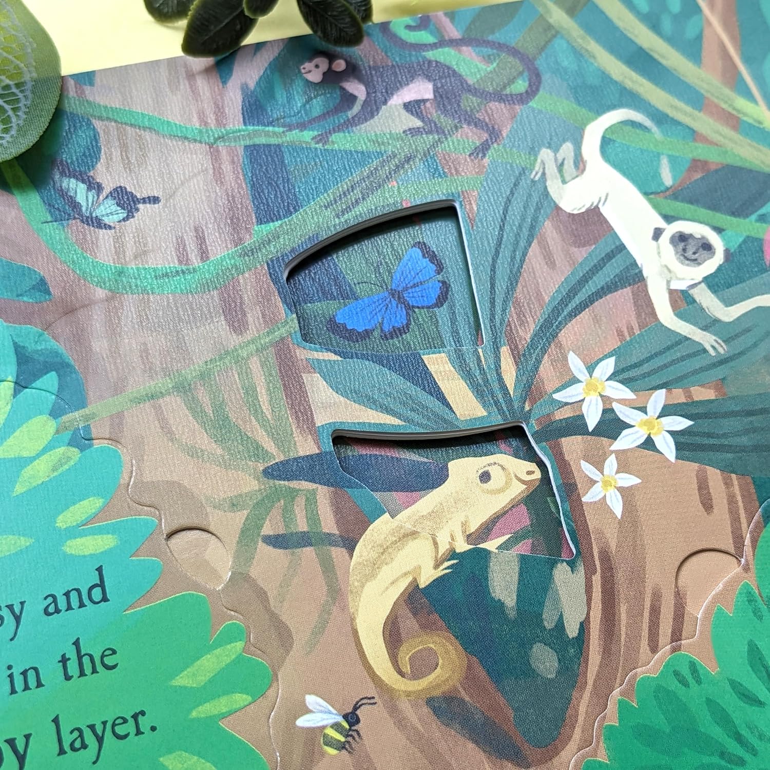 Let'S Explore the Rainforest
