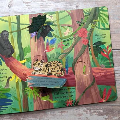 Let'S Explore the Rainforest