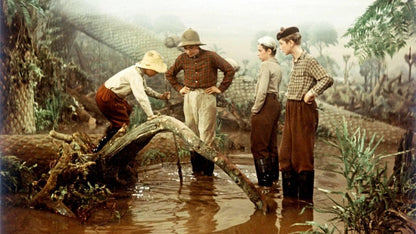 Reise in die Urzeit (Filmjuwelen