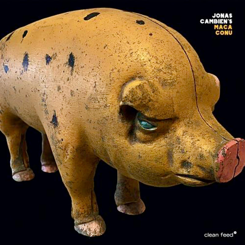 Jonas Cambiens-Maca Conu