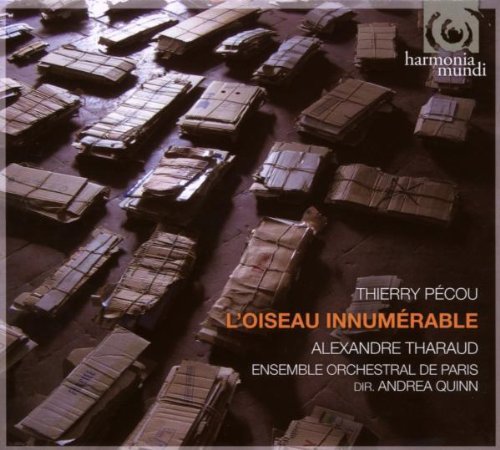 Thierry Pecou: L'oiseau Innumerable