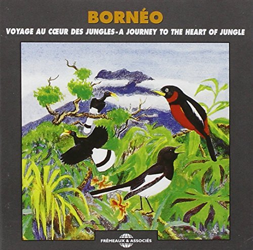 Borneo - A Journey to the Heart of the Jungle