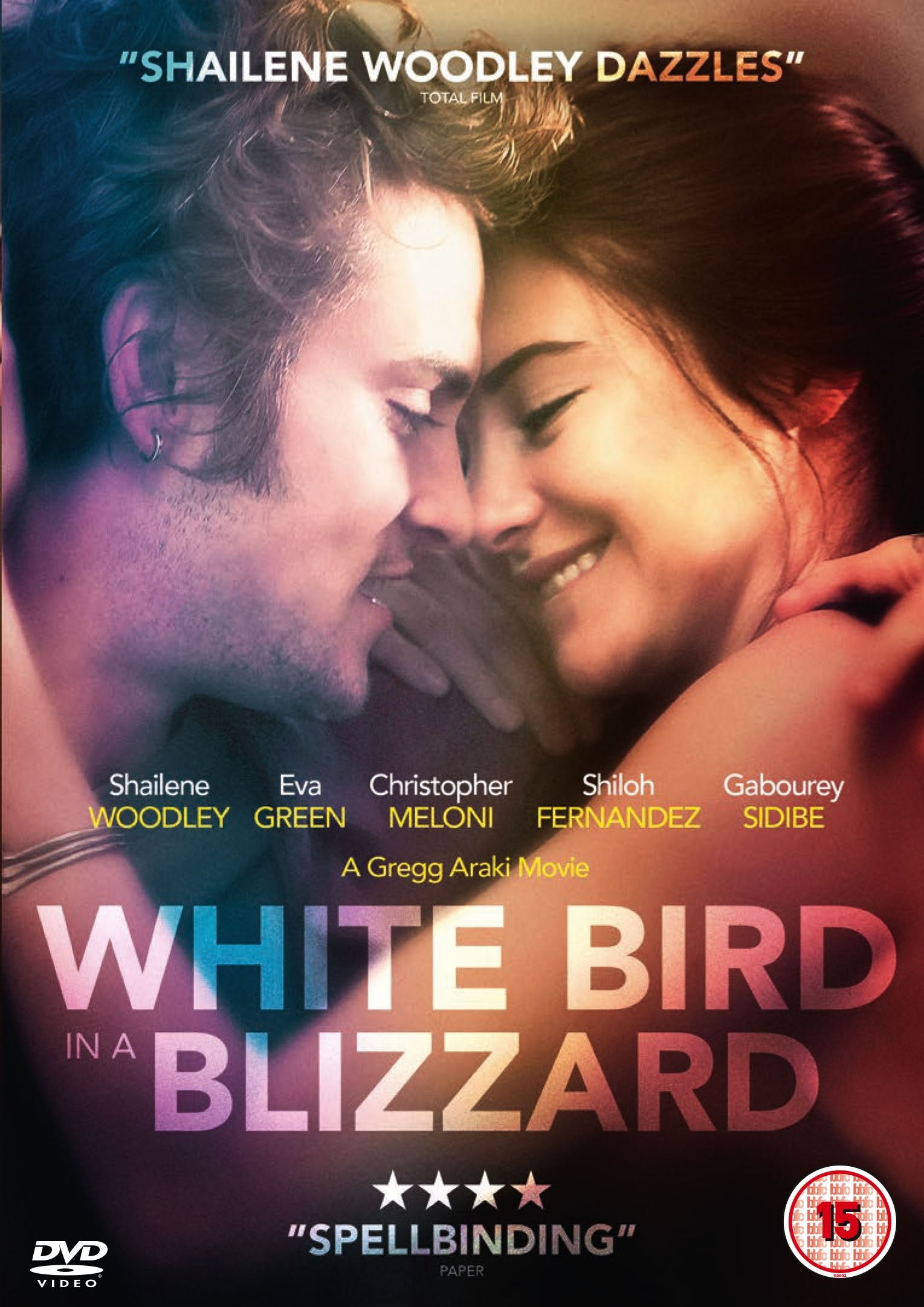 White Bird In A Blizzard