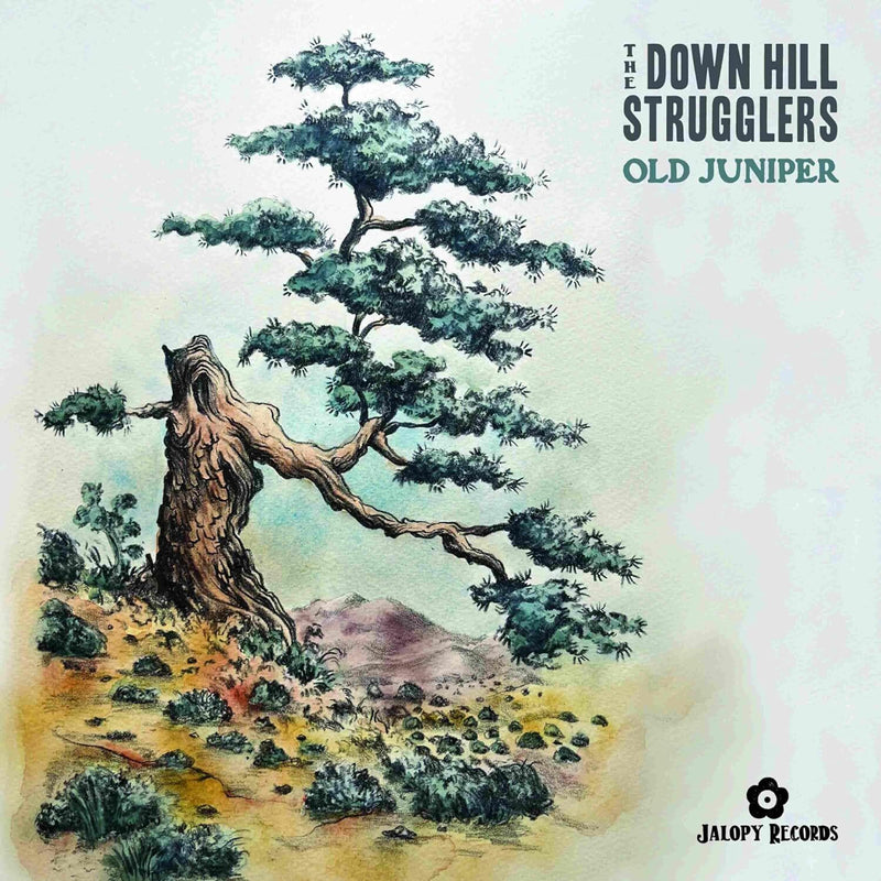 Old Juniper