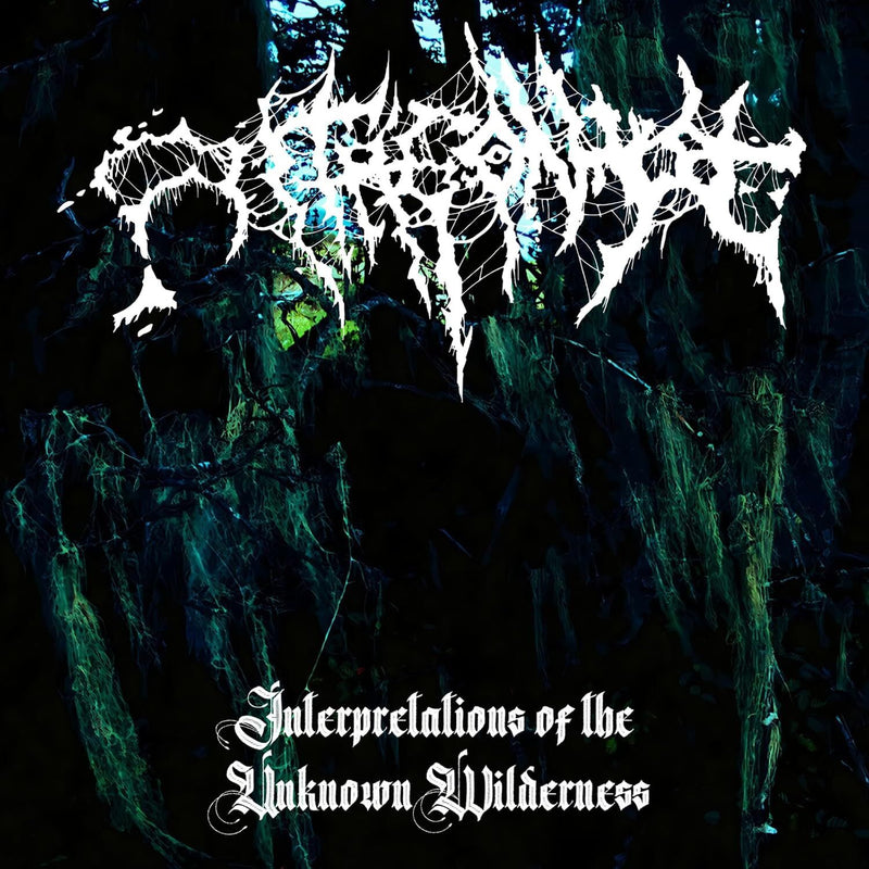 Interpretations of the Unknown Wilderness