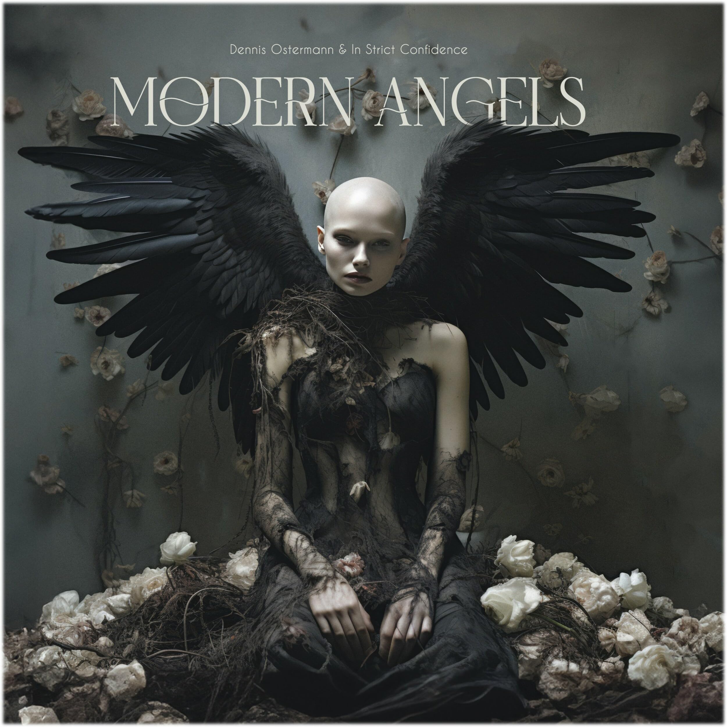 Modern Angels (Buch Single)