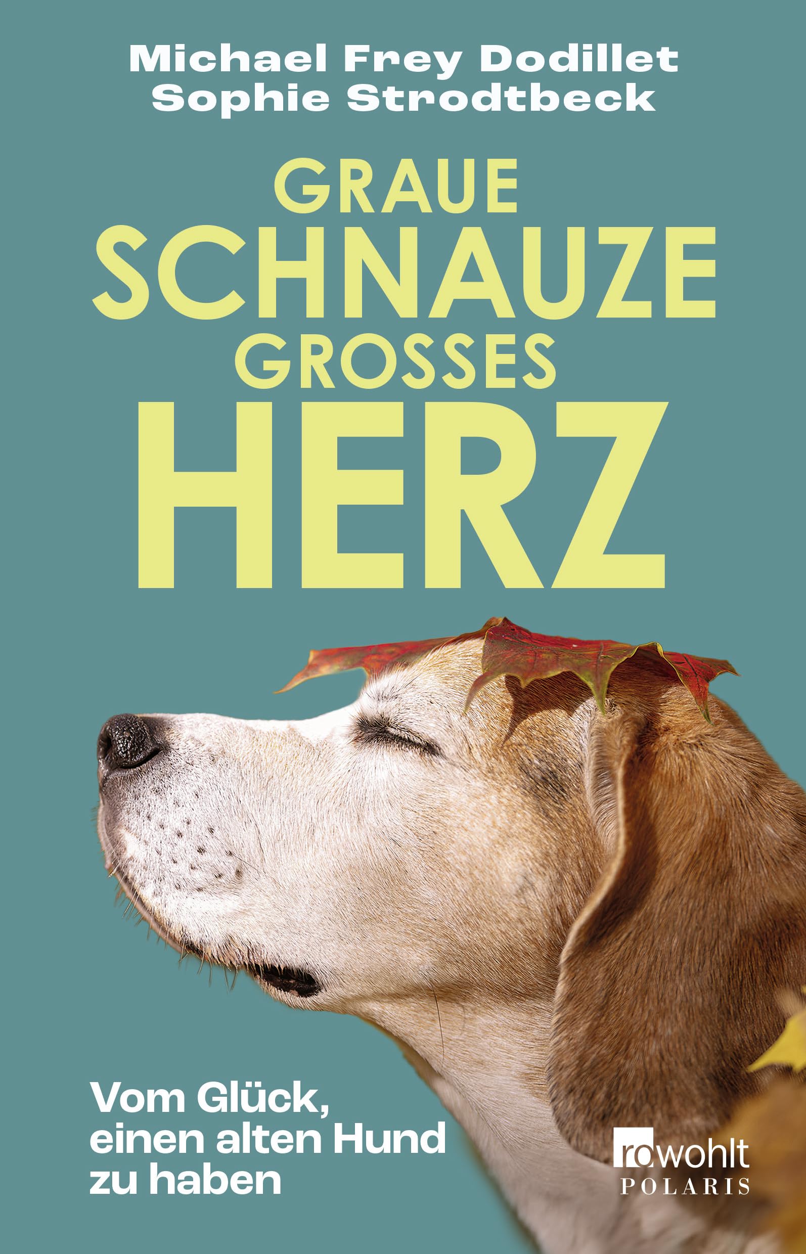 Graue Schnauze, großes Herz: Vom Glück, einen alten Hund zu haben