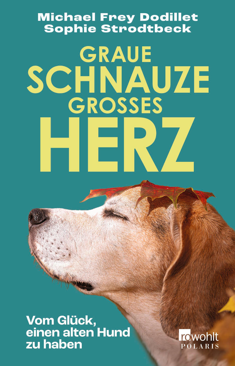 Graue Schnauze, großes Herz: Vom Glück, einen alten Hund zu haben