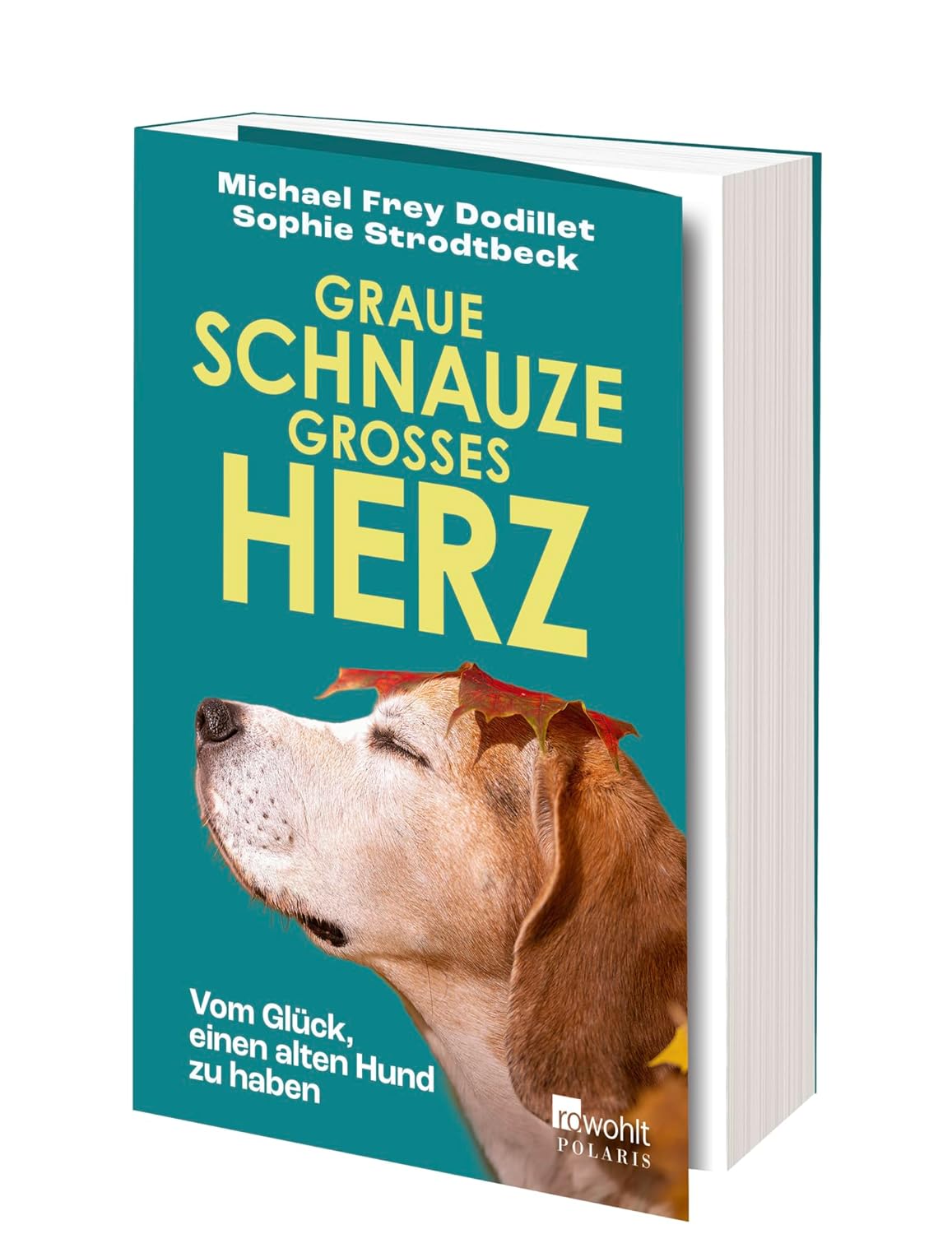 Graue Schnauze, großes Herz: Vom Glück, einen alten Hund zu haben