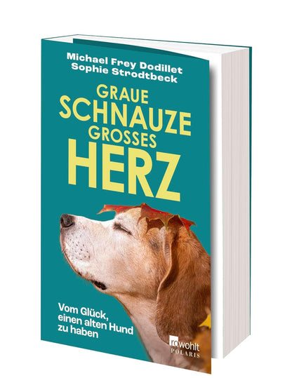 Graue Schnauze, großes Herz: Vom Glück, einen alten Hund zu haben