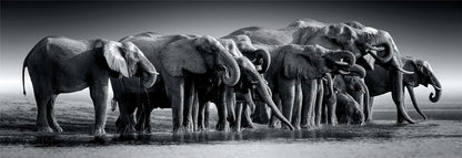 Clementoni 39836 Jigsaw Panorama Collection-Herd of Giants 1000 Pieces-Puzzle for Adults 14-99 Years, Gift for Men/Women, Animals, Made in Italy, Multicolor