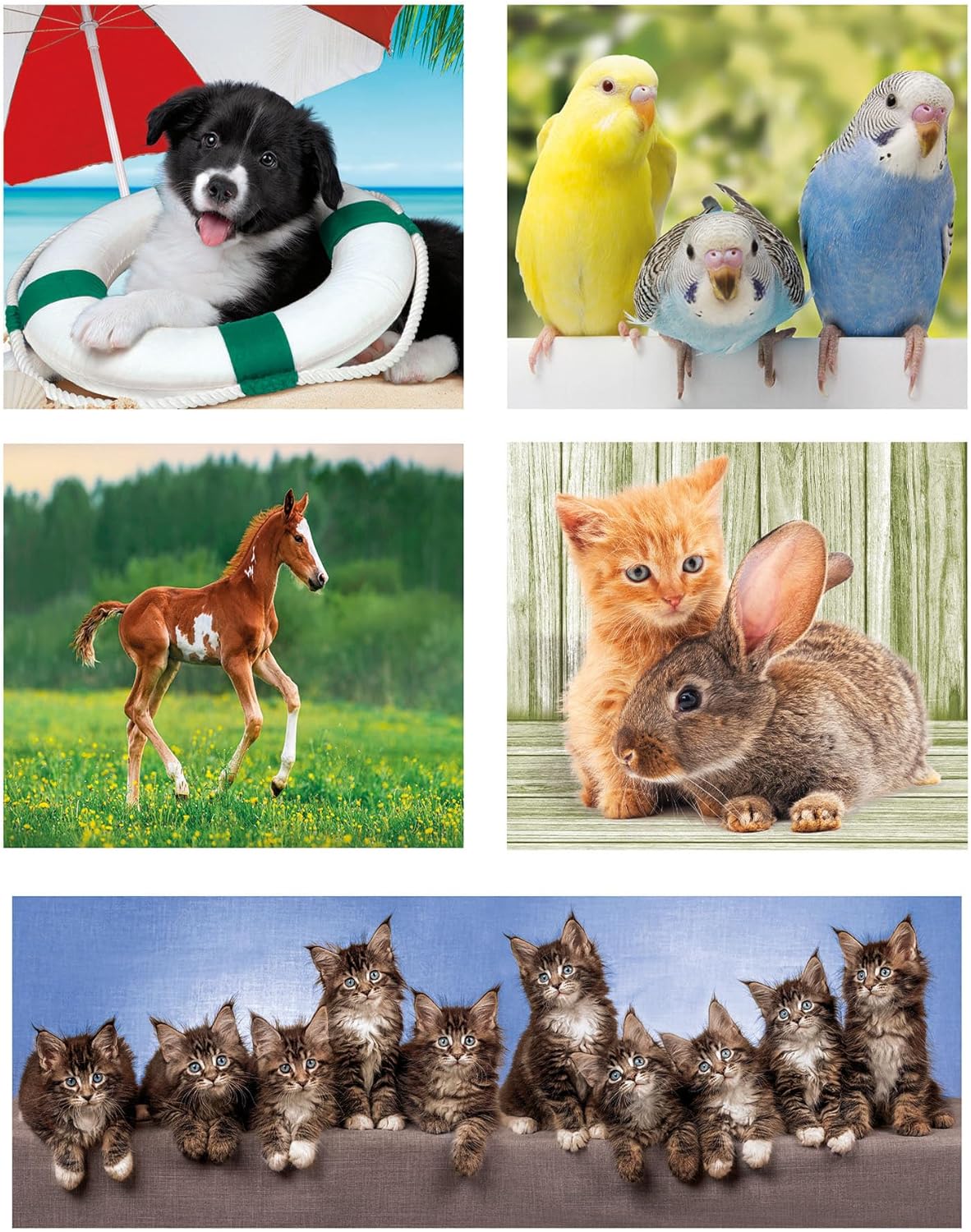 Clementoni 20283 Jigsaw 10 in 1 Friends (60+2x48+4x30+3x18 Pieces) -Supercolor Children 4-6 Years, Realistic, Animals, Gift for Boy/Girls, Puzzle for Kids, Made in Italy, Multicolor