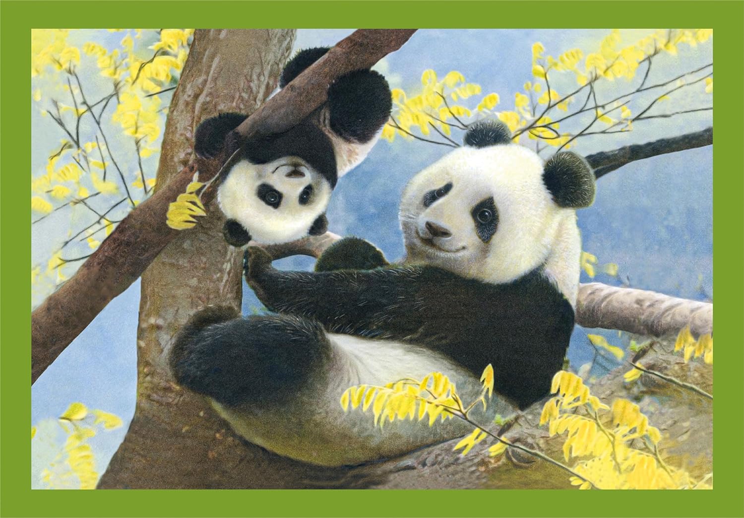 Clementoni 21532 Jigsaw Baby Cuddles 12+16+20+24 Pieces-Supercolor Children 3-5 Years, Realistic, Animals, Gift for Boy/Girls, Puzzle for Kids, Made in Italy, Multicolor