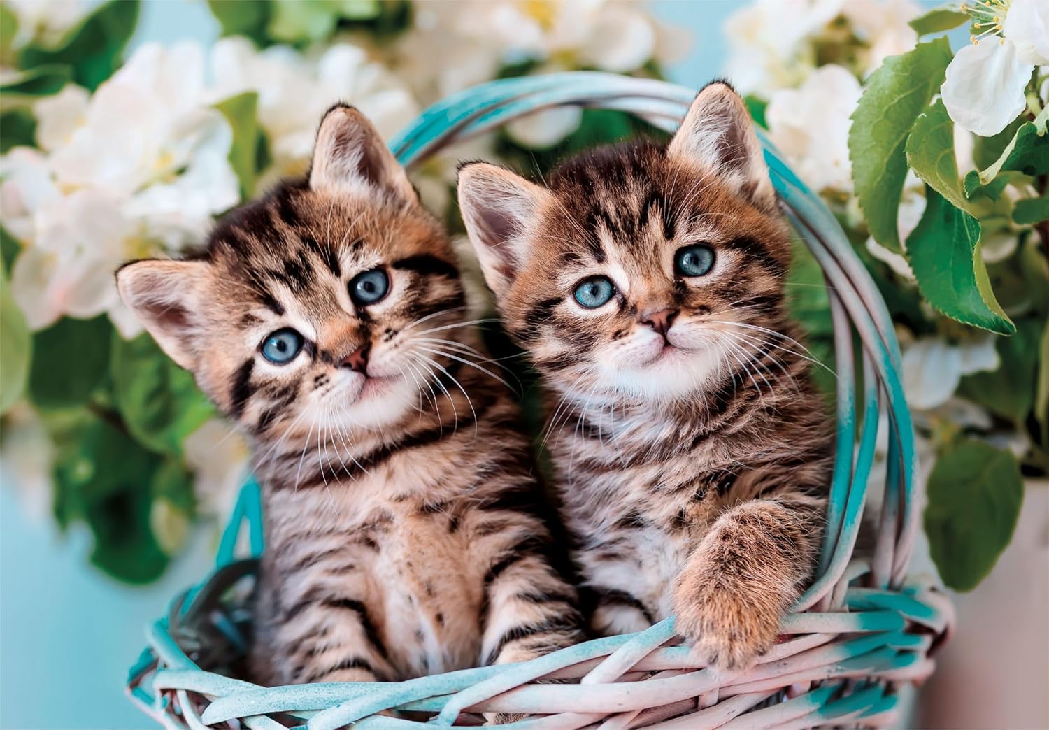 Clementoni 26599 Jigsaw Lovely Kitty Twins 60 Pieces-Supercolor Children 4-6 Years, Realistic, Animals, Cats, Gift for Boy/Girls, Puzzle for Kids, Made in Italy, Multicolor