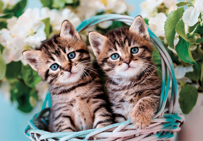 Clementoni 26599 Jigsaw Lovely Kitty Twins 60 Pieces-Supercolor Children 4-6 Years, Realistic, Animals, Cats, Gift for Boy/Girls, Puzzle for Kids, Made in Italy, Multicolor