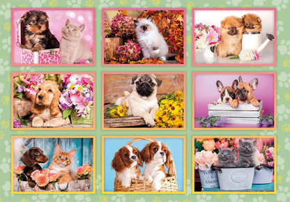 Clementoni 29788 Jigsaw Puppies Collage 180 Pieces-Supercolor Children 7-9 Years, Cartoon, Realistic, Animals, Gift for Boy/Girls, Puzzle for Kids, Made in Italy, Multicolor