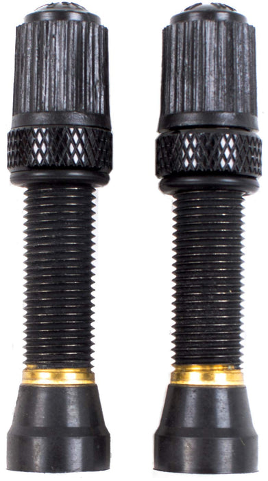 Nutrak Schrader Tubeless Valve, Threaded Bronze