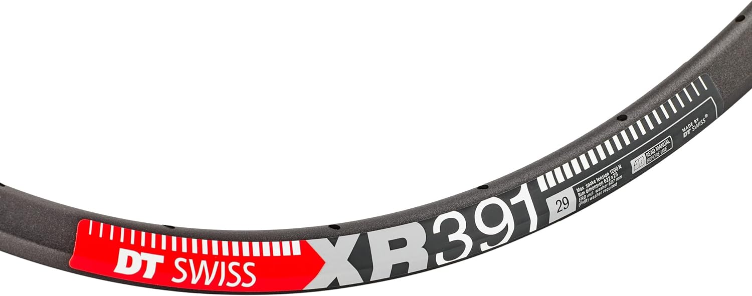 DT Swiss XR 391 SBWT disc-specific 28 hole Presta-drilled black - 29"