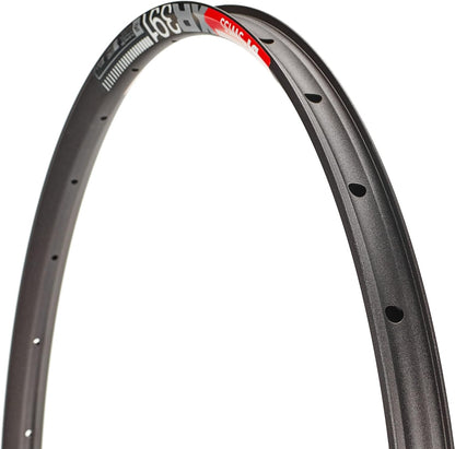 DT Swiss XR 391 SBWT disc-specific 28 hole Presta-drilled black - 29"