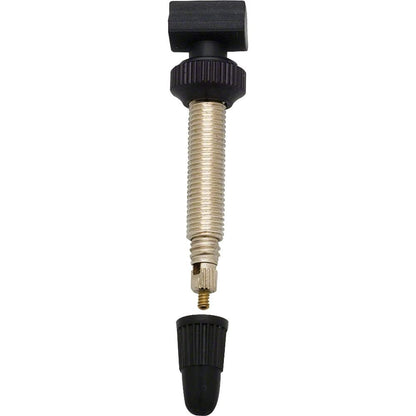 DT Swiss Brass Tubeless Valve MTB