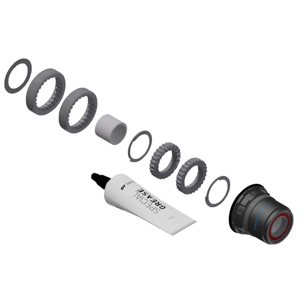 DT Swiss Ratchet LN conversion kit for 3-Pawl hubs, MTB, 18-tooth, SRAM XD Hybrid Steel