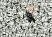 Ravensburger Puzzle 12000458 - Challenge Star Wars - 1000 Teile Puzzle für Erwachsene und Kinder ab 14 Jahren, Star Wars Geschenke