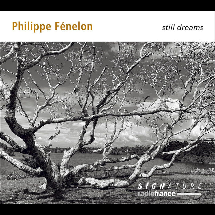 Philippe Fénelon: Still Dreams