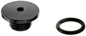 Shimano ST-R9120 bleed screw and O-ring