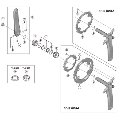Shimano FC-RX810 chainring 42T