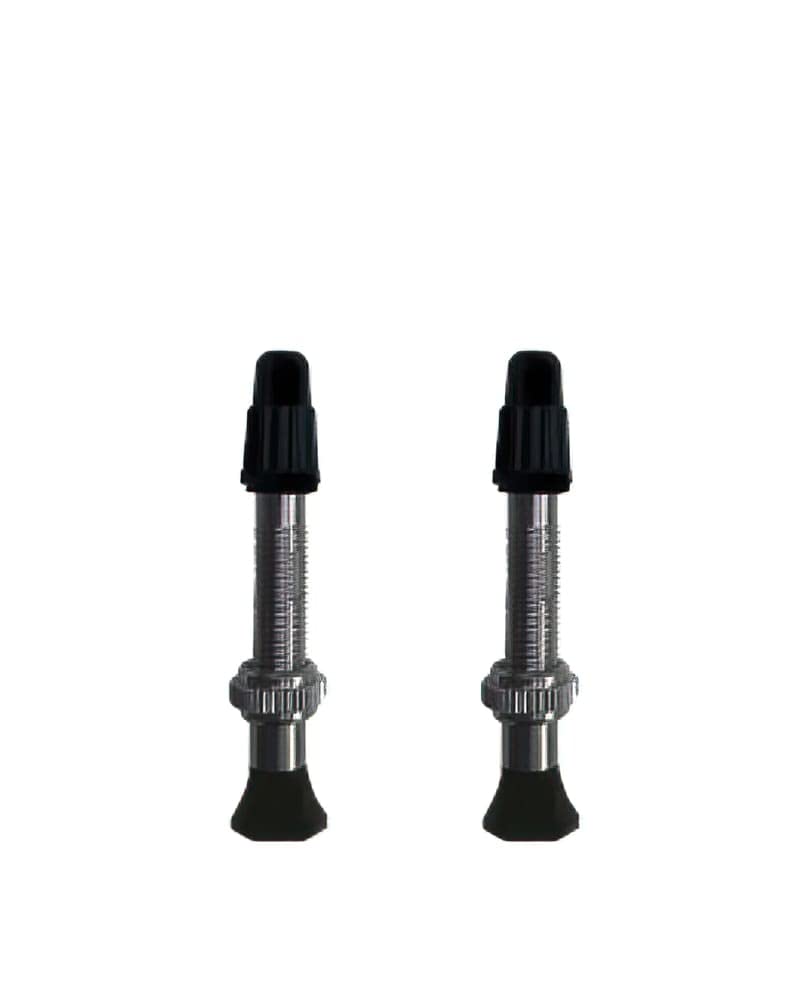 Vittoria Set Tubeless Valve Brass Silver 40mm (2 Pcs)