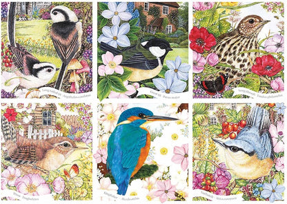 Otter House Gift Rectangular Jigsaw - RSPB Garden Birds