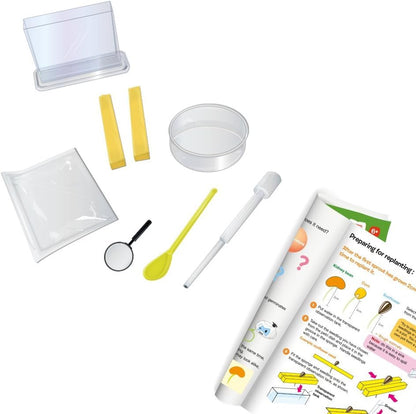 Roots Shoots Science Kit