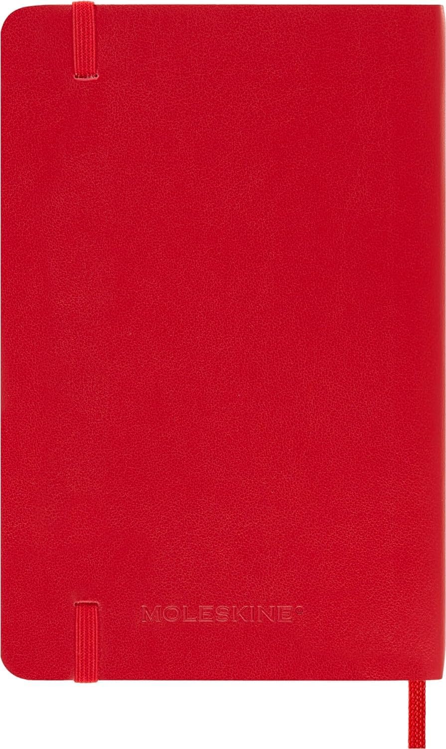 2025 12M DAILY PK S.RED SOFT