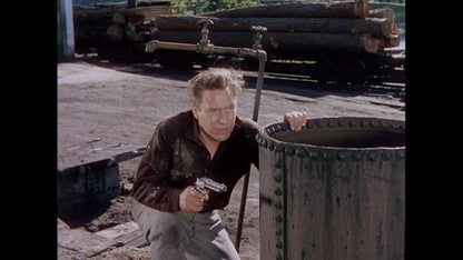 Terreur A Silver City+ Blu-Ray