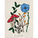 FLORA ET POIRES
