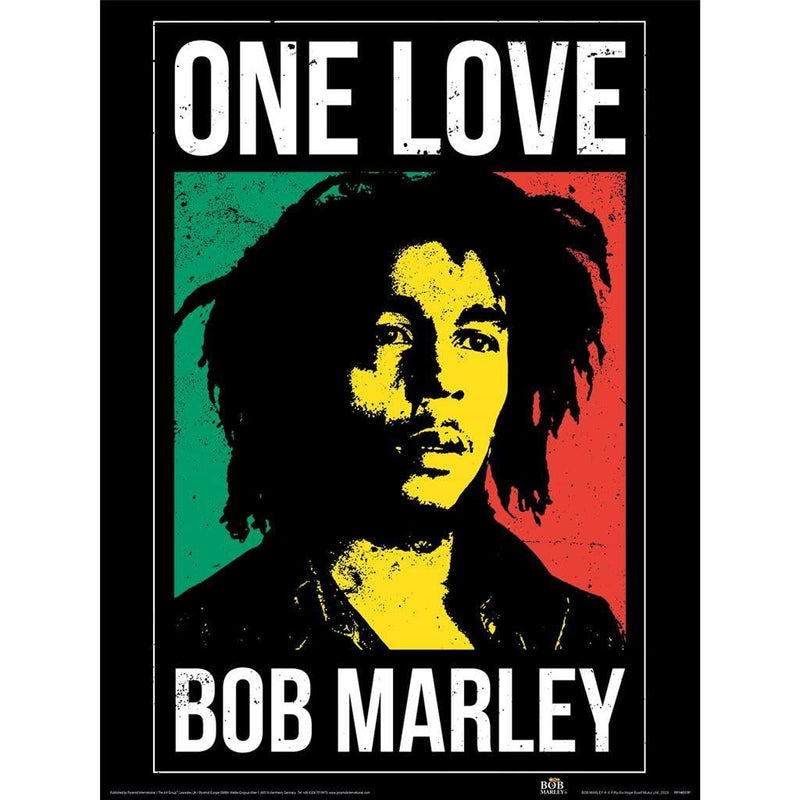 BOB MARLEY (ONE LOVE)