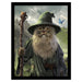 Vincent Hie (Catdalf) 30 x 40cm Collector Print (Framed