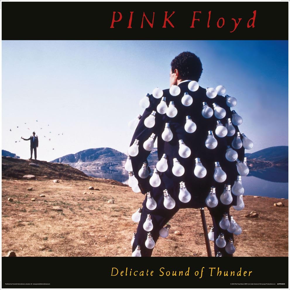PINK FLOYD (DELICATE SOUND OF THUNDER)