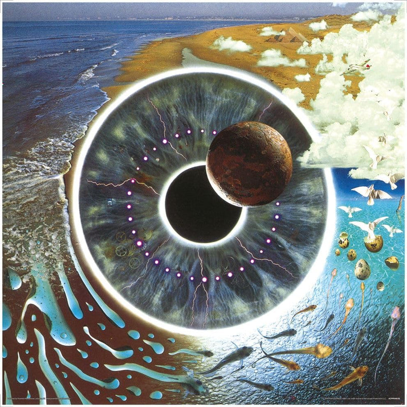 PINK FLOYD (PULSE)