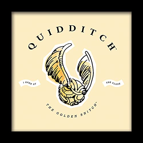 Pyramid International HARRY POTTER Framed Print Quidditch Watercolour Design 30cm x 30cm - Official Merchandise