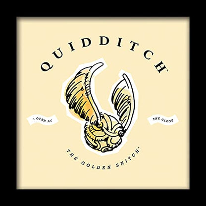 Pyramid International HARRY POTTER Framed Print Quidditch Watercolour Design 30cm x 30cm - Official Merchandise