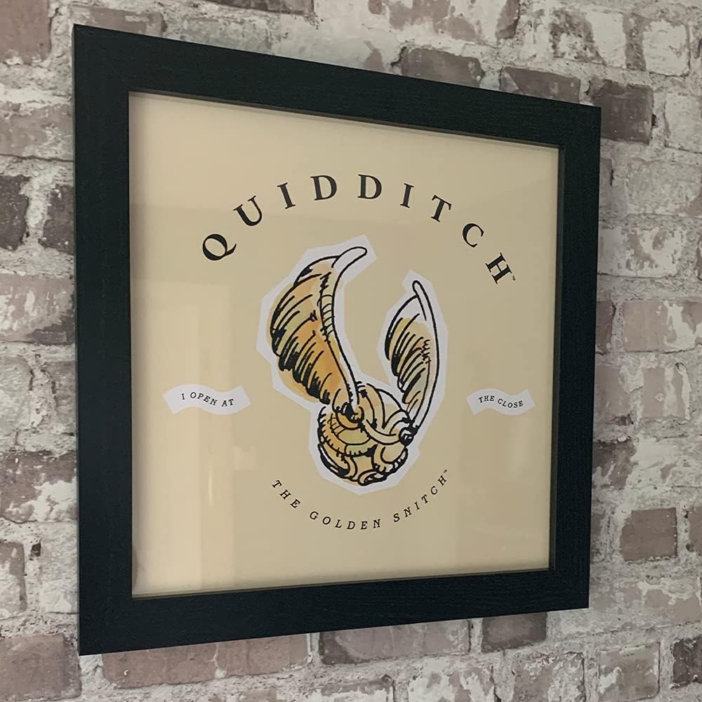 Pyramid International HARRY POTTER Framed Print Quidditch Watercolour Design 30cm x 30cm - Official Merchandise
